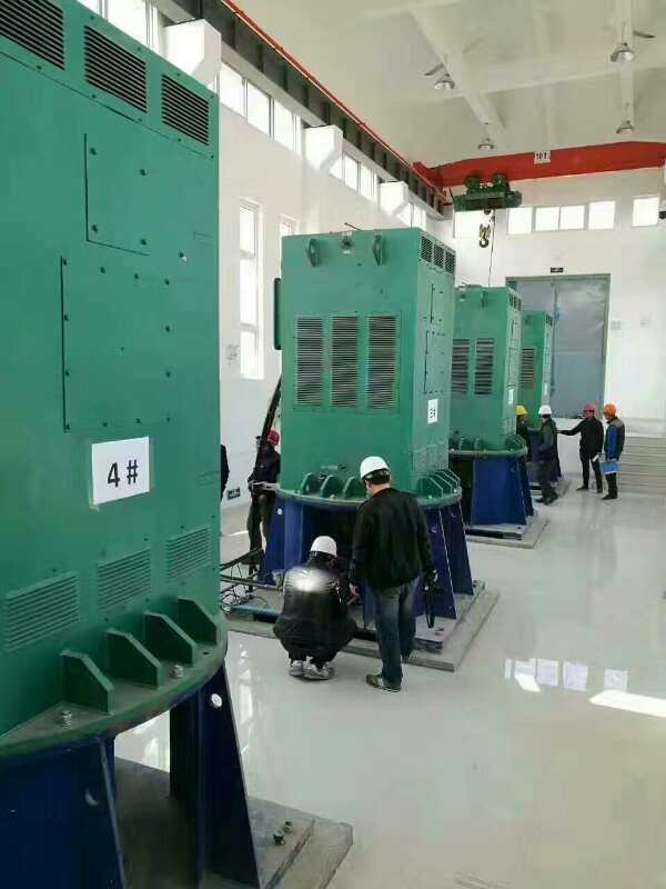 YR6303-6某污水处理厂使用我厂的立式高压电机安装现场