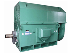 YR6303-6Y系列6KV高压电机