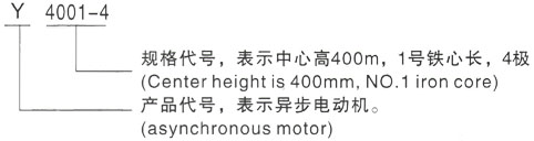 西安泰富西玛Y系列(H355-1000)高压YR6303-6三相异步电机型号说明