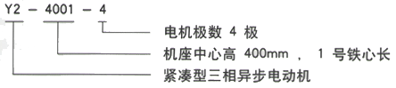 YR系列(H355-1000)高压YR6303-6三相异步电机西安西玛电机型号说明